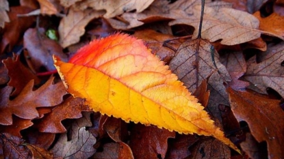 Autumn Equinox Marks First Day Of Fall