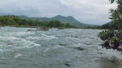 Cauvery Water Management Board ideal for dispute resolution, says Central Water Commission