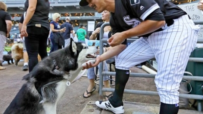 Chicago White Sox vs