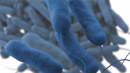 Officials investigate Legionnaire’s disease cases in Hopkins