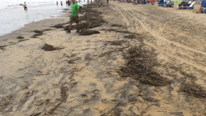 Beach closures extended because of storm Hermine