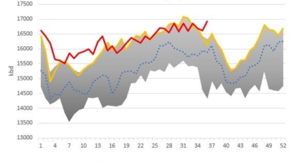 Crude Oil Prices Fall Again amid Low Expectations