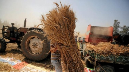 Egypt rejects Russian wheat shipment