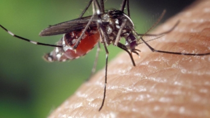 FSU researchers may have discovered breakthrough in Zika virus battle