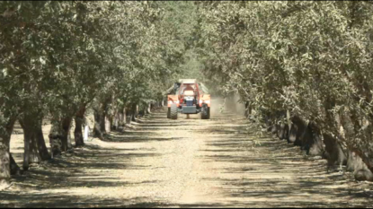 Farm Workers Up For Overtime Pay If Governor Brown Signs Bill