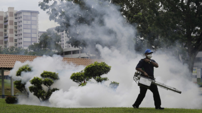 First Zika-Positive Mosquitos Found In Miami Beach