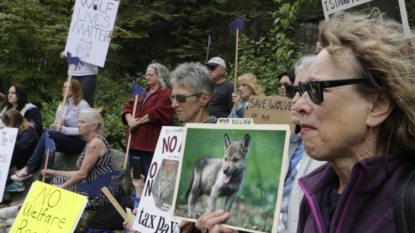 Group protests killing of Profanity Peak pack