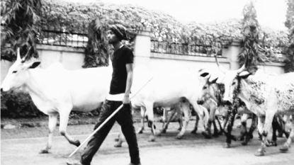 Gov Ugwuanyi visits Enugu community attacked by Fulani Herdsmen