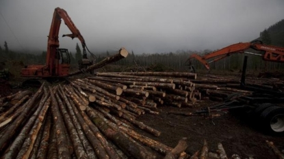 Ax men star gabe rygaard dies in crash