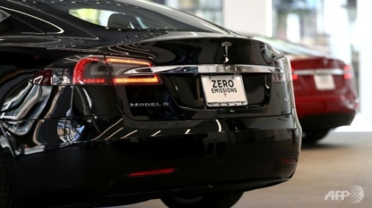 New Tesla software to prevent hot auto deaths