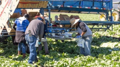 California moves to change overtime for farm workers