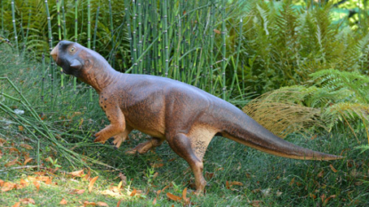 Scientists determine color, camouflage of ‘super cute’ dinosaur