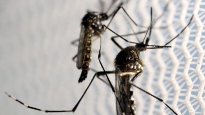 Rep. Jolly Holds Mosquitoes During Zika Funding Speech