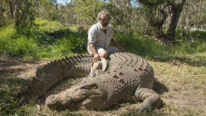 Wildlife park owner attacked by crocodile