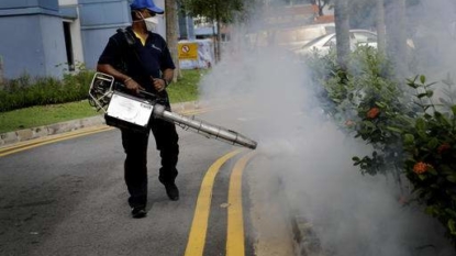 Scientists say Singapore Zika is Asian strain, cases reach 200