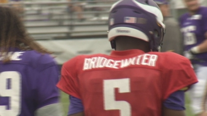 Shaun Hill steps in for injured Bridgewater in Minnesota