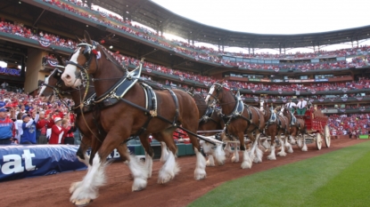 Martinez, offense struggle as Cardinals lose 7-0 to Cubs