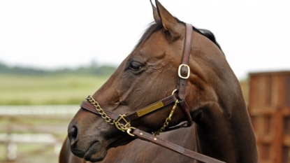 Tepin wins Woodbine Mile for 8th straight victory