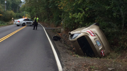 ‘Spider season’ leads to auto in ditch in Oregon