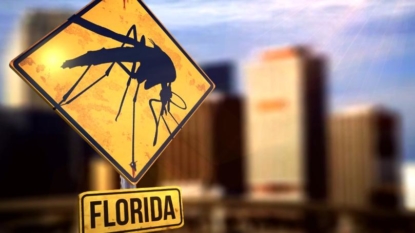 Travel Ban on Miami Lifted After Neighborhood Declared Zika