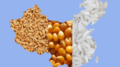 USA challenges China grain subsidies at WTO