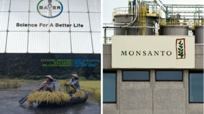 Bayer pushes bid for Monsanto closer to $56 billion