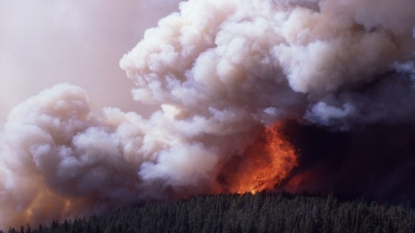 Yellowstone’s south entrance closed, employees evacuated due to wildfire