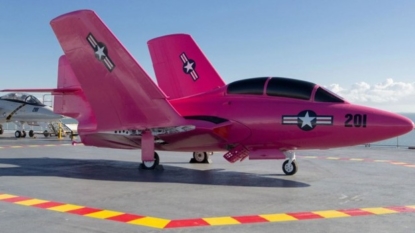 Southwest Airlines Flight Goes Pink for Breast Cancer Survivor