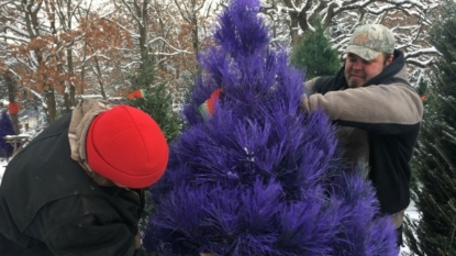 Christmas tree shortage means higher prices this year