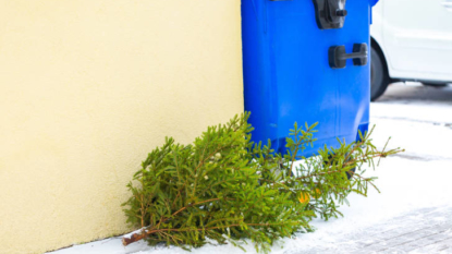 Long Beach Environmental Services Provides Christmas Tree Recycling