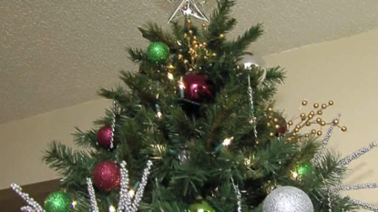 Donate Christmas Trees For Recycling Program At Sites Countywide