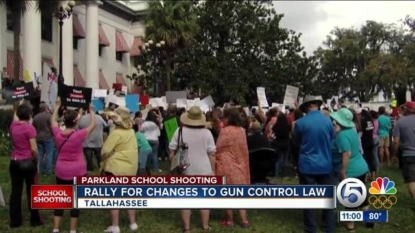 Florida Shooting Survivors Stage Protest in Tallahassee